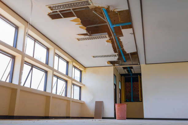 Best 24-hour water damage restoration  in Norton, VA