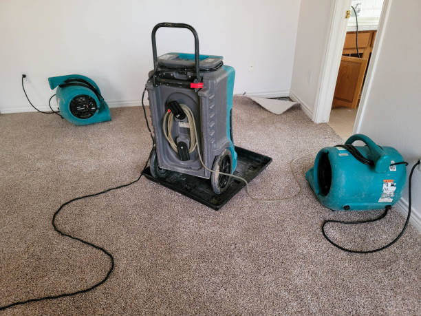 Best Emergency water damage restoration  in Norton, VA