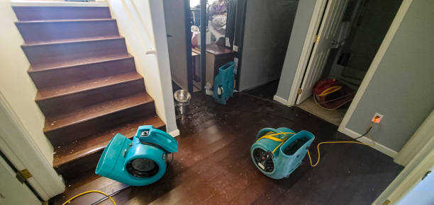 Best Sewage cleanup and water damage restoration  in Norton, VA