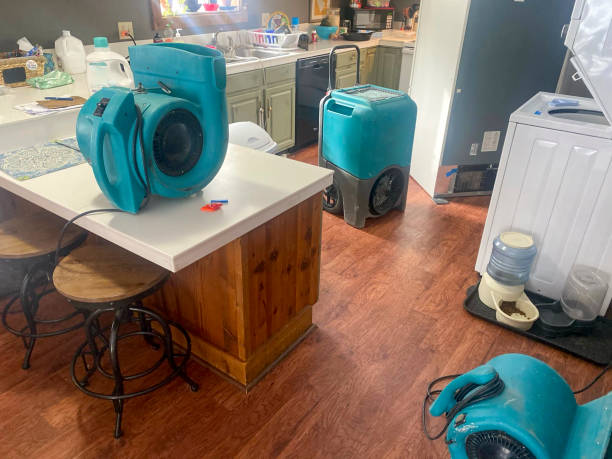 Best Mold removal after water damage  in Norton, VA