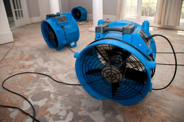 Best Water damage cleanup near me  in Norton, VA