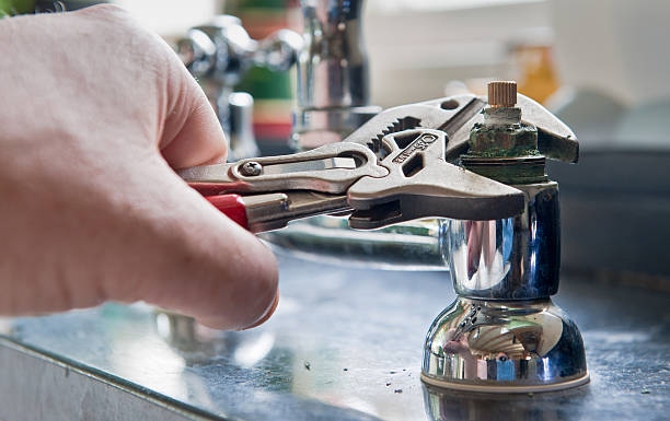 Best Professional water damage repair  in Norton, VA