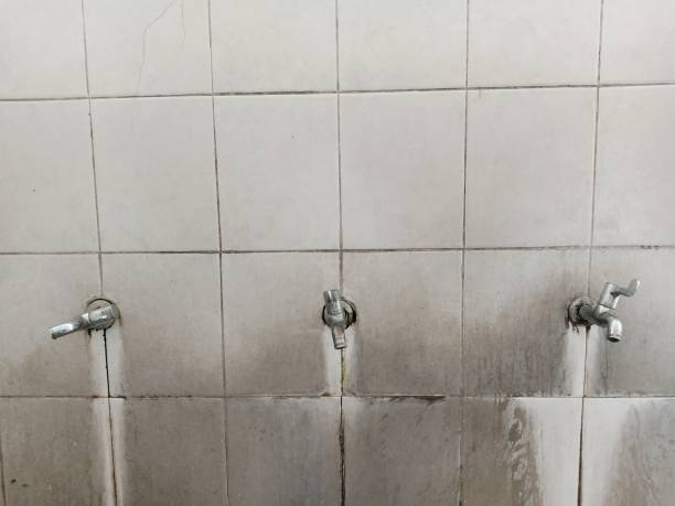 Best Flood restoration services  in Norton, VA
