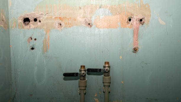Best Water damage contractors near me  in Norton, VA