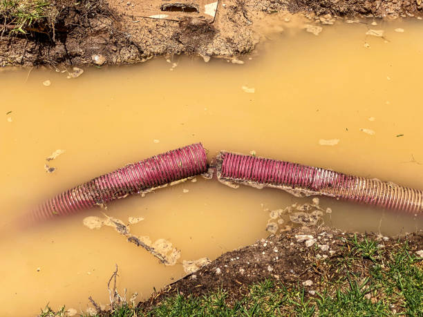 Best Water damage restoration process  in Norton, VA