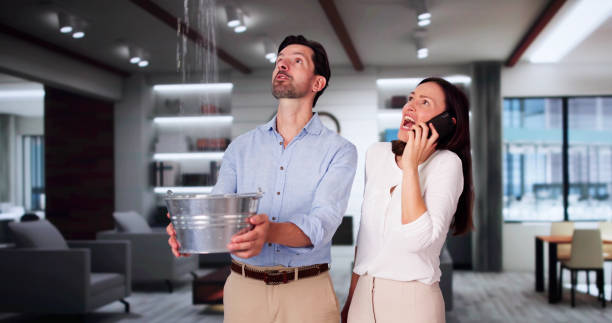 Best Flood restoration services  in Norton, VA